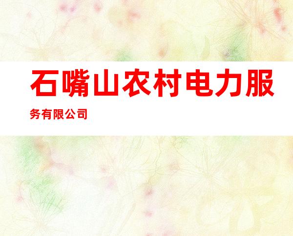石嘴山农村电力服务有限公司